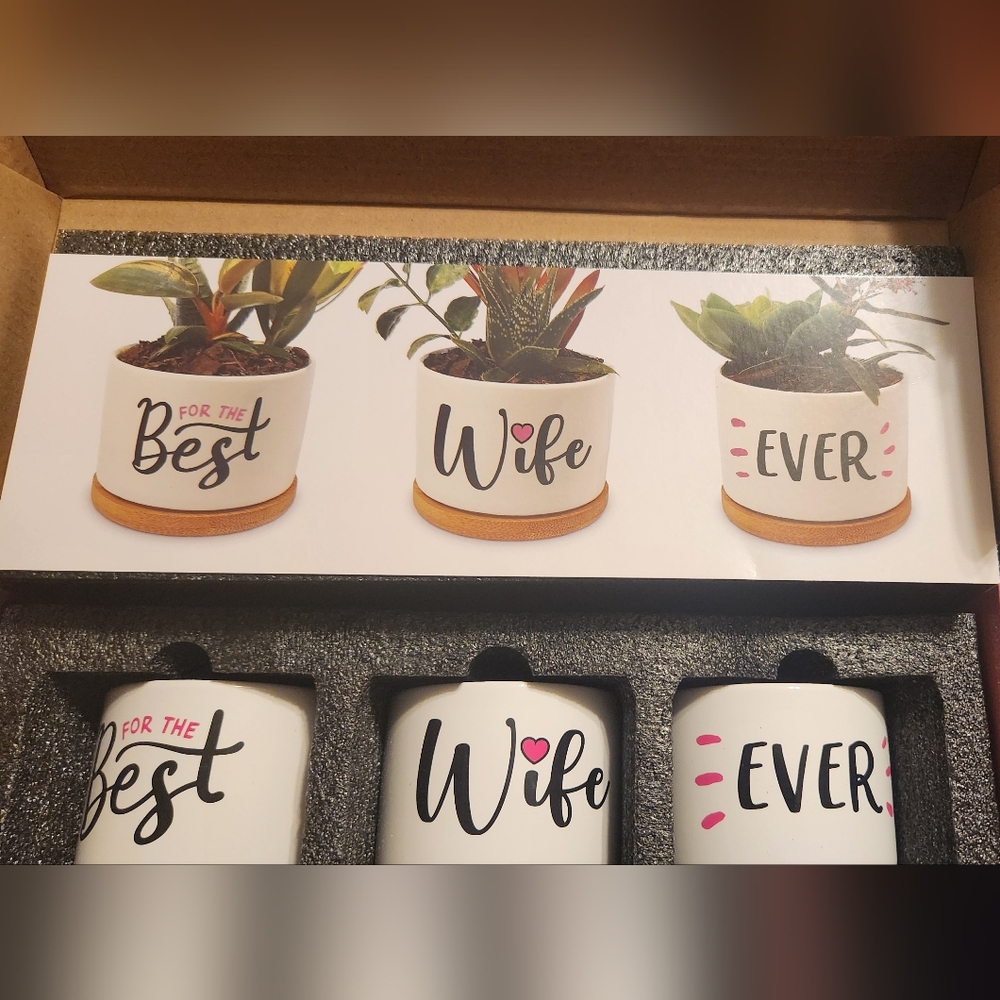 Chic Wife Ever Planter Set - White and Pink